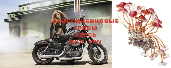 спиды Алексеевка