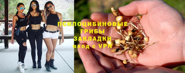 спиды Алексеевка