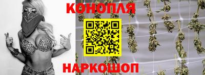 PSILOCYBIN Канаш