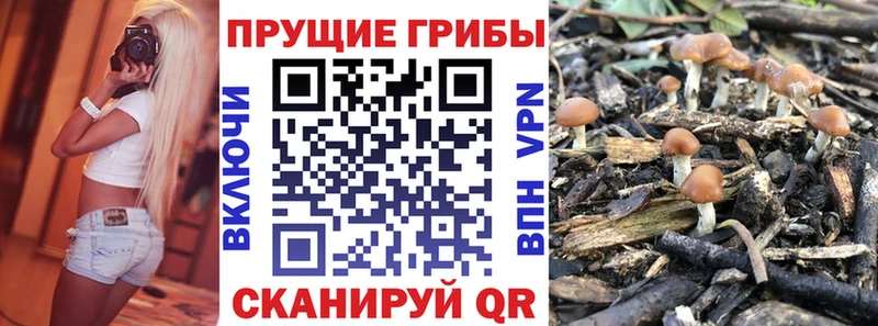 Псилоцибиновые грибы мухоморы  Глазов 