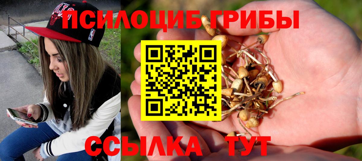 Псилоцибиновые грибы Psilocybine cubensis Глазов
