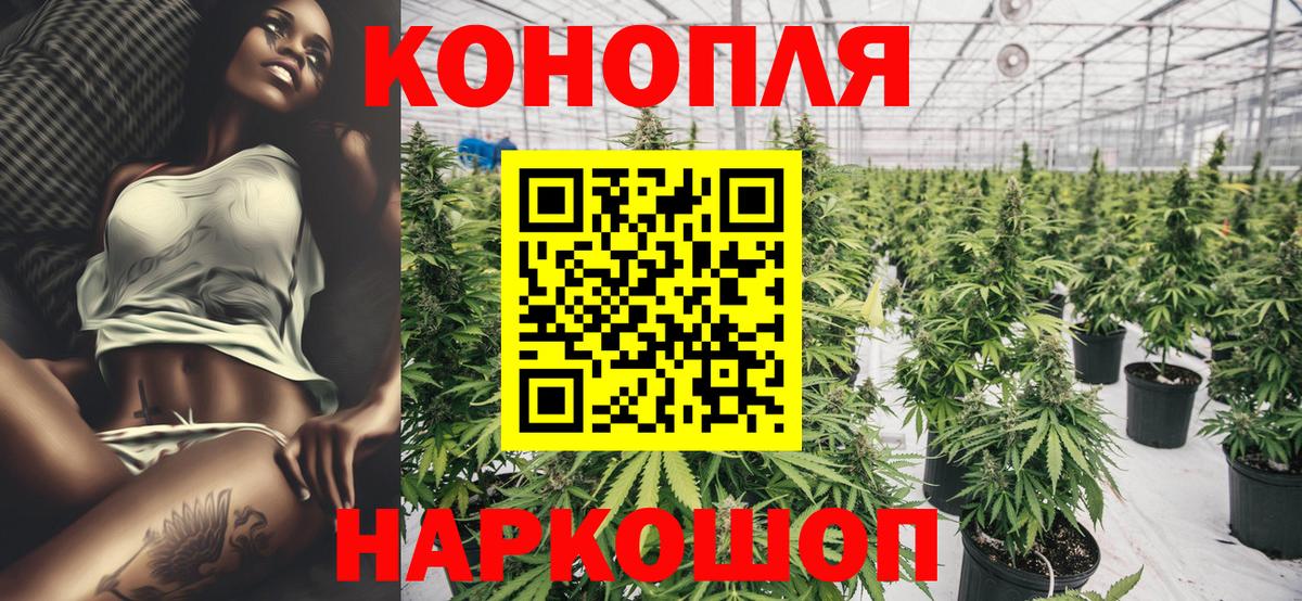 Каннабис OG Kush  Марихуана Ganja  Бошки марихуана Amnesia  Глазов  Вход с VPN 